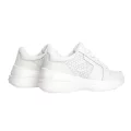 PLPS PESM 0061